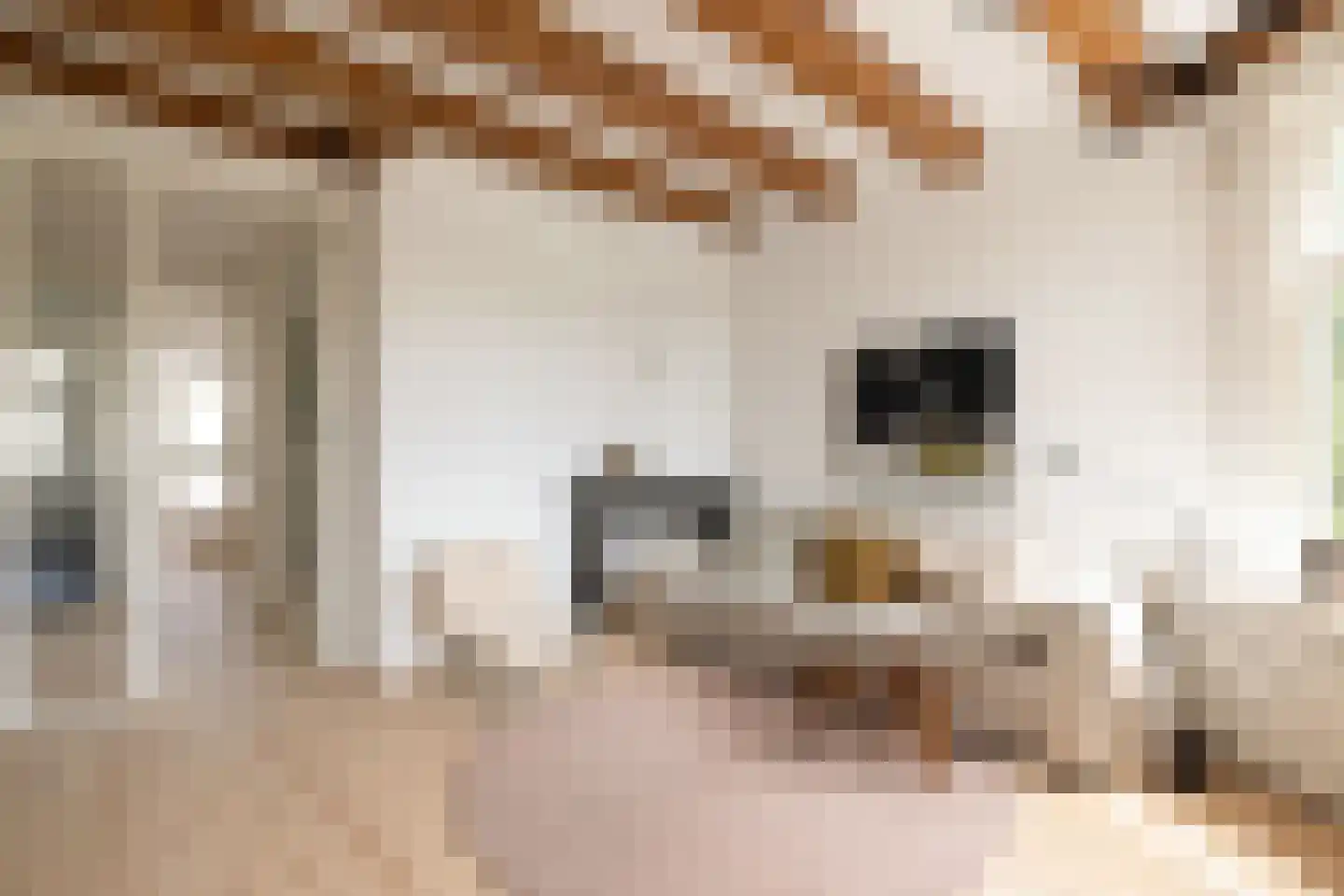 Kromme Waal 36 3 Amsterdam thumbnail 19