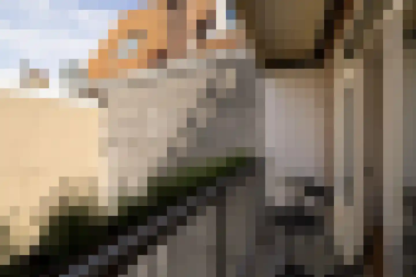 Kromme Waal 36 3 Amsterdam thumbnail 28