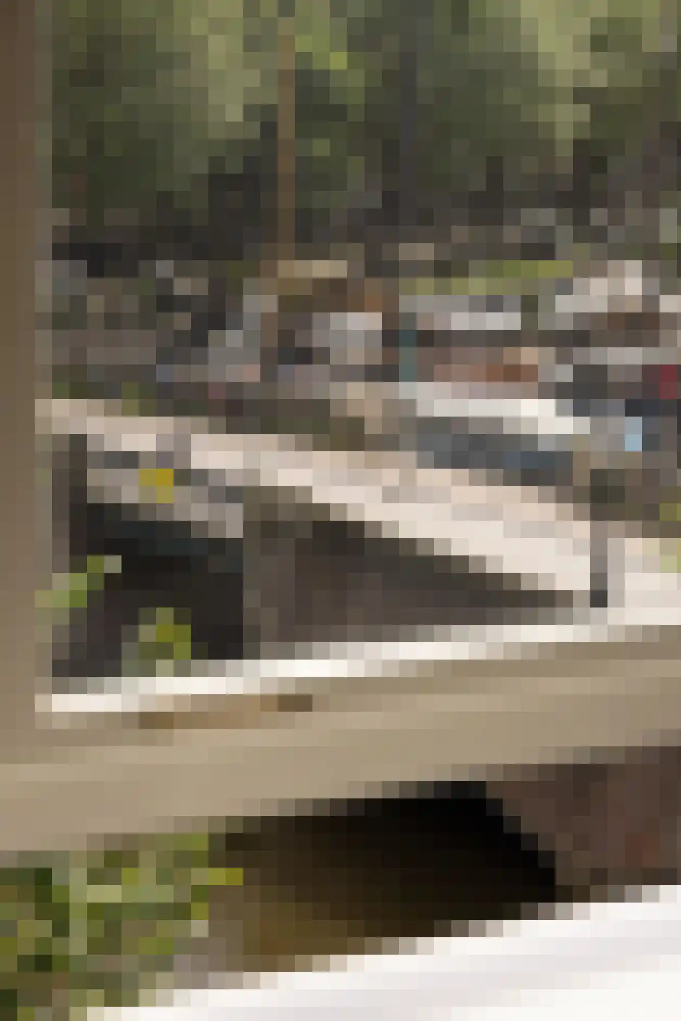 Kromme Waal 36 3 Amsterdam thumbnail 9