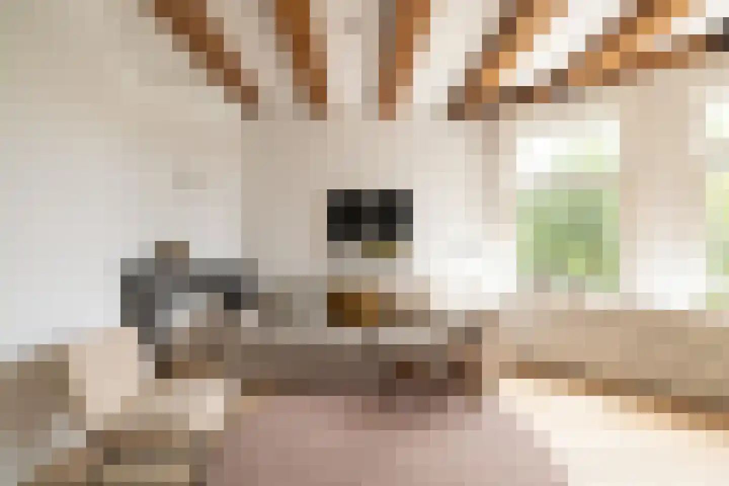 Kromme Waal 36 H Amsterdam thumbnail 17