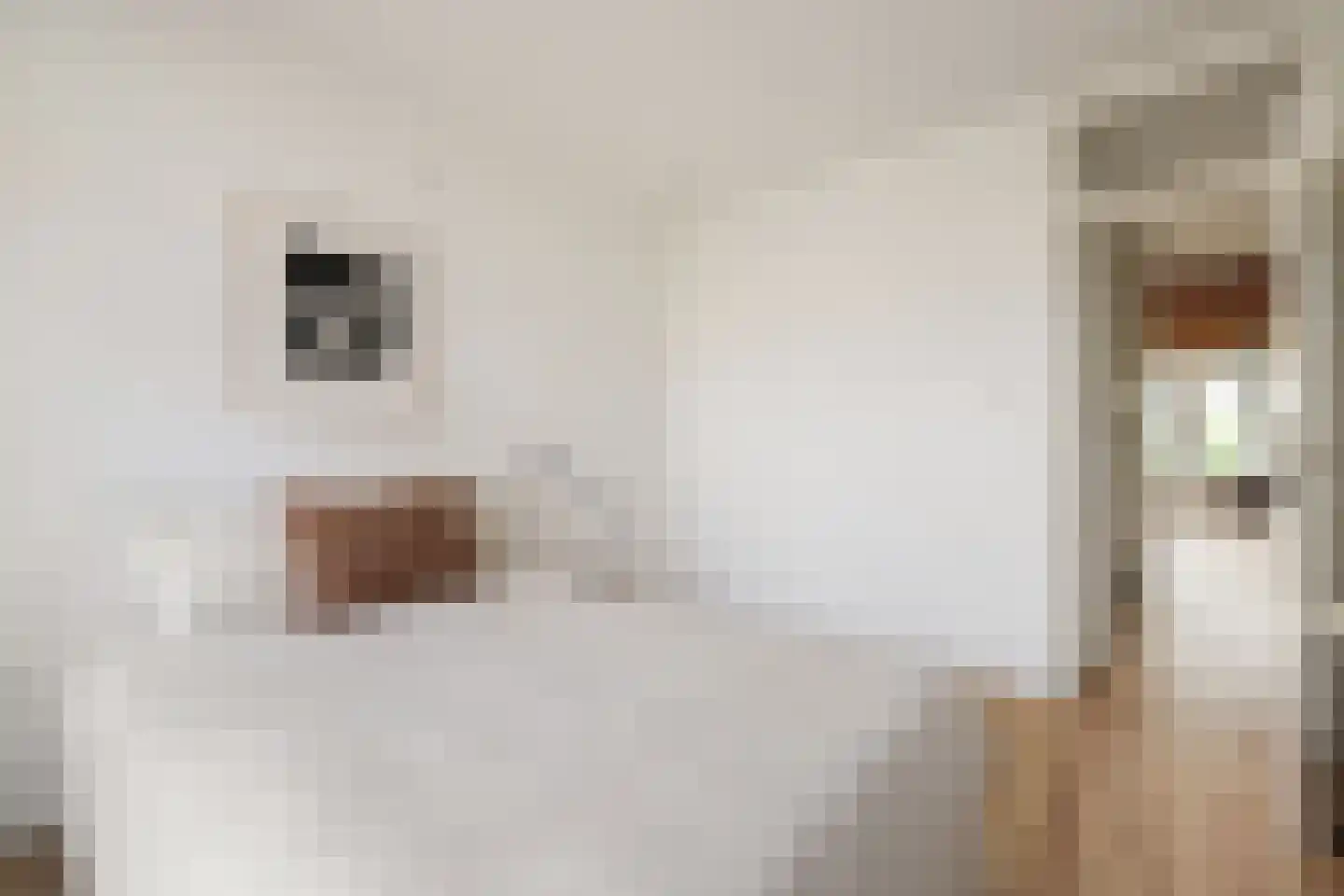 Kromme Waal 36 H Amsterdam thumbnail 29