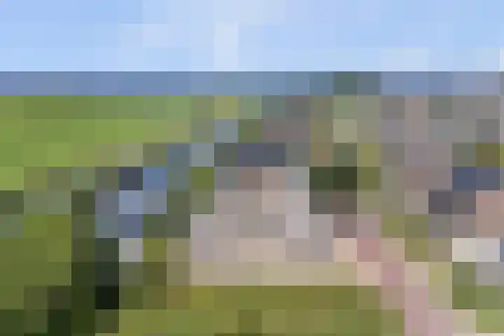 Kromme Warren 42 Echtenerbrug thumbnail 4