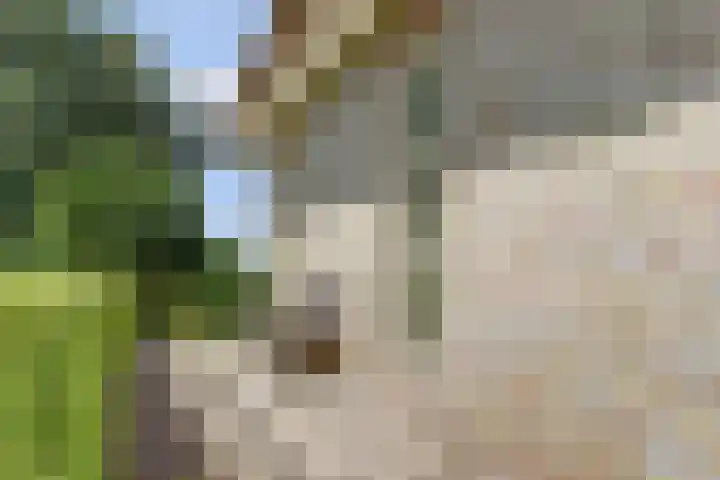 Kromme Warren 42 Echtenerbrug thumbnail 49