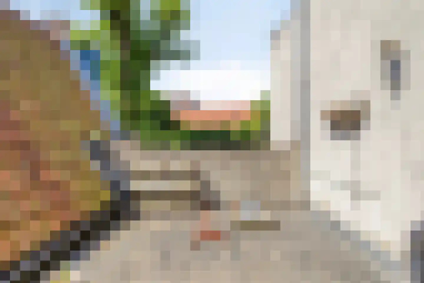 Kromme Weele 13 Middelburg thumbnail 13