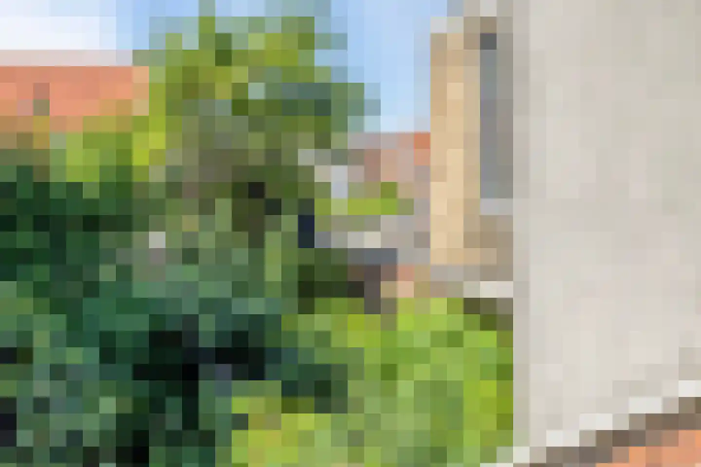 Kromme Weele 13 Middelburg thumbnail 15