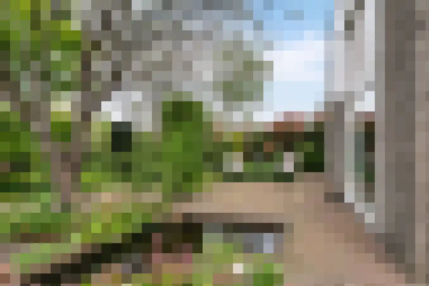 Krommeakker 11 Noord-Scharwoude thumbnail 47
