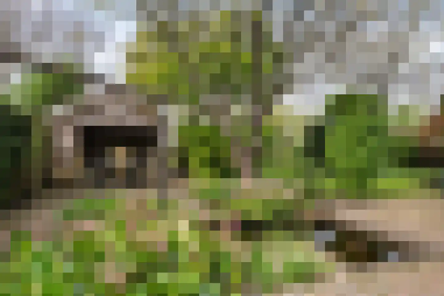 Krommeakker 11 Noord-Scharwoude thumbnail 48