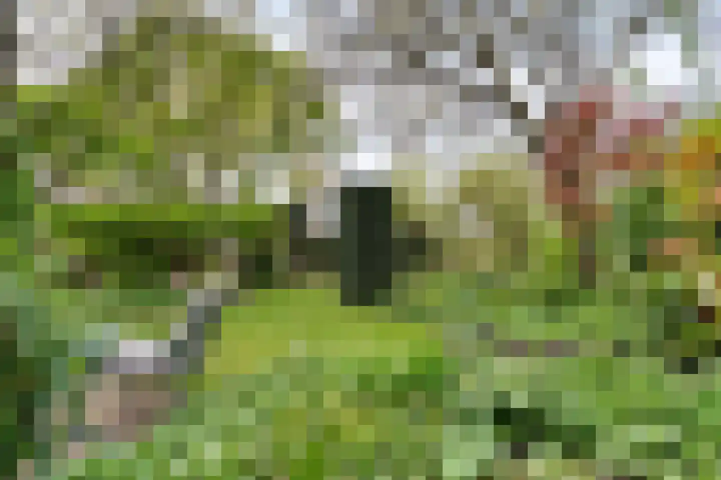 Krommeakker 11 Noord-Scharwoude thumbnail 49