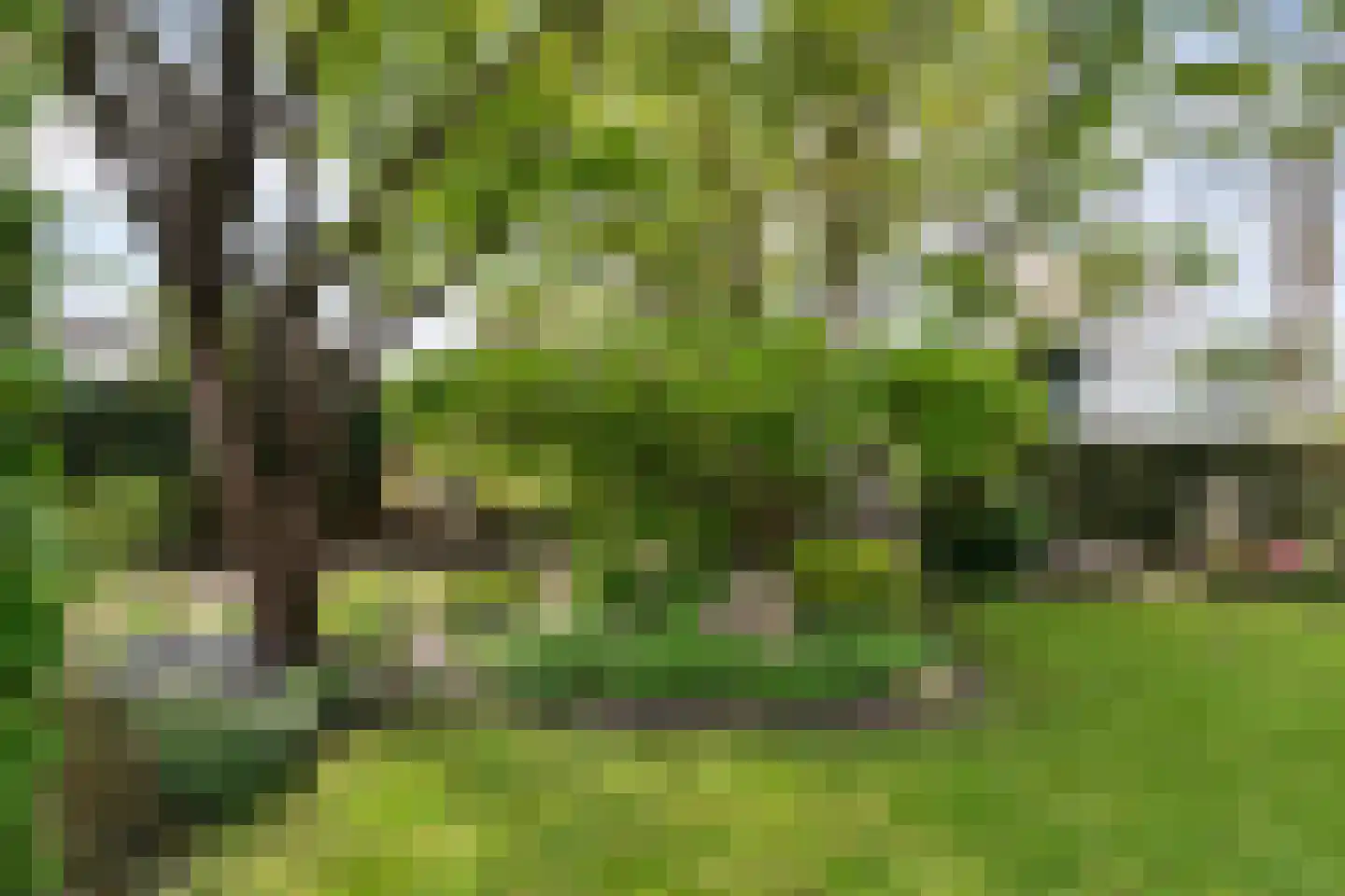Krommeakker 11 Noord-Scharwoude thumbnail 52