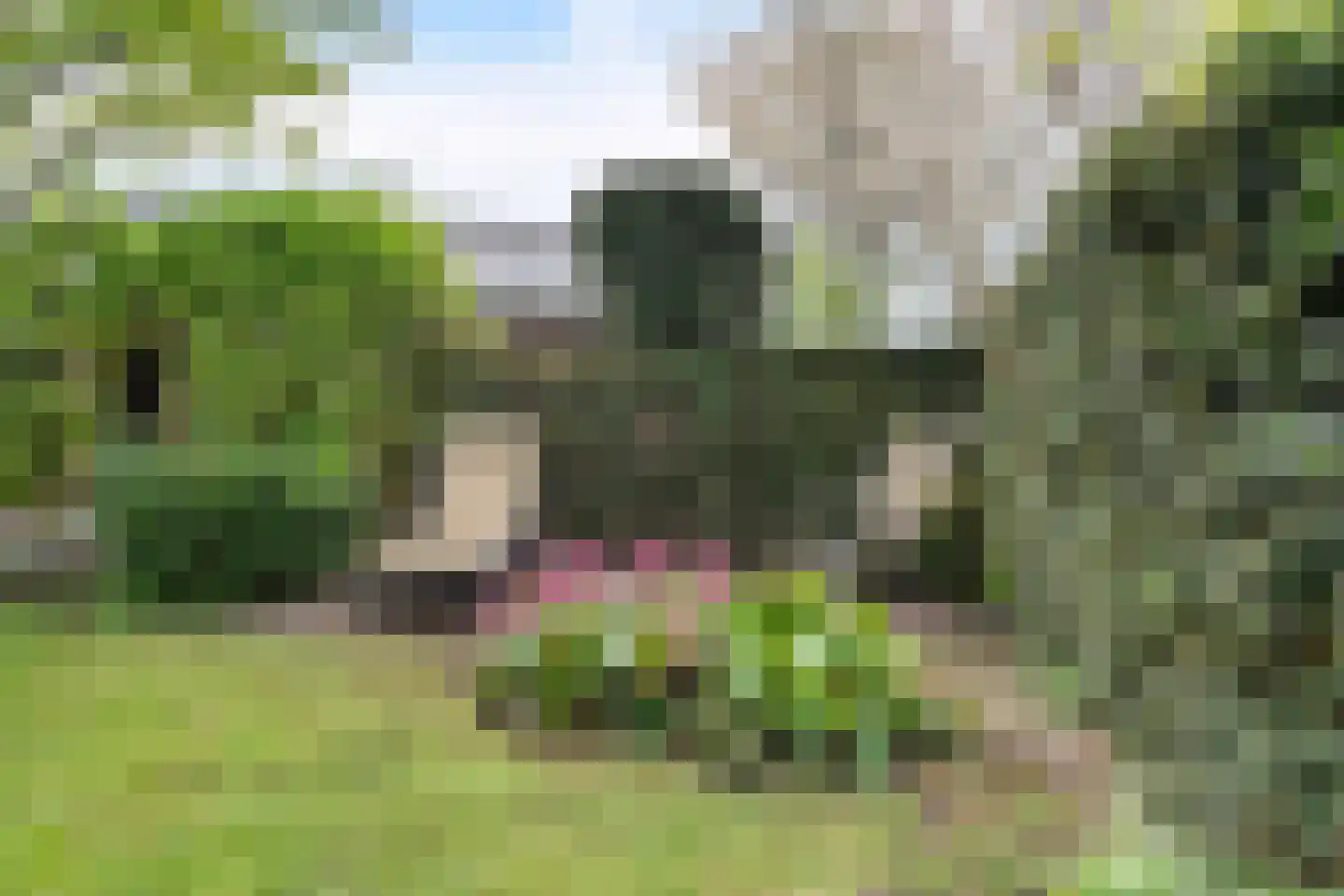 Krommeakker 11 Noord-Scharwoude thumbnail 53