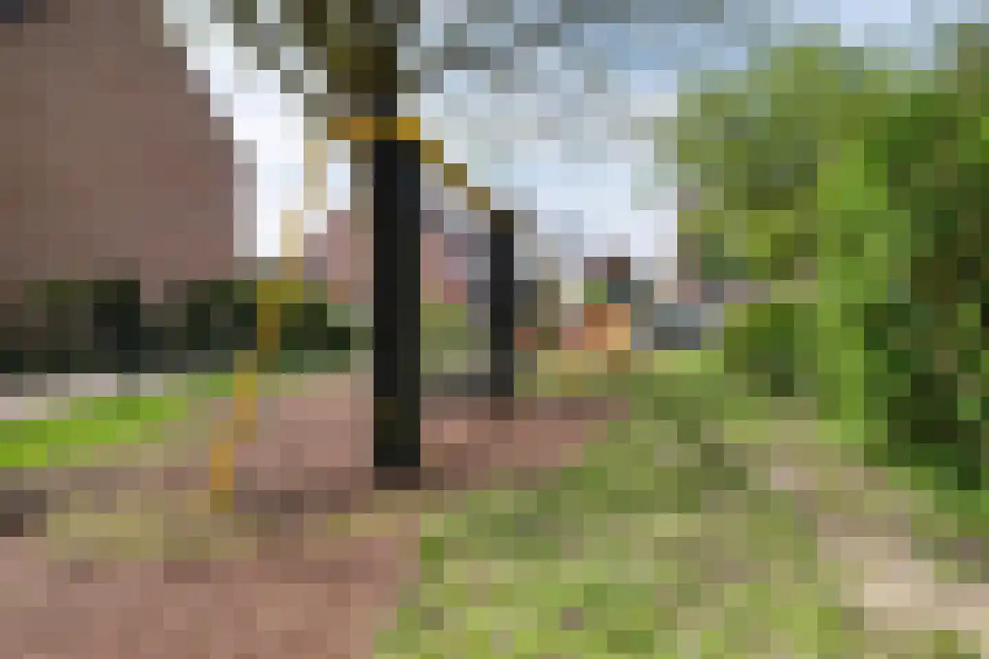 Krommeakker 11 Noord-Scharwoude thumbnail 57