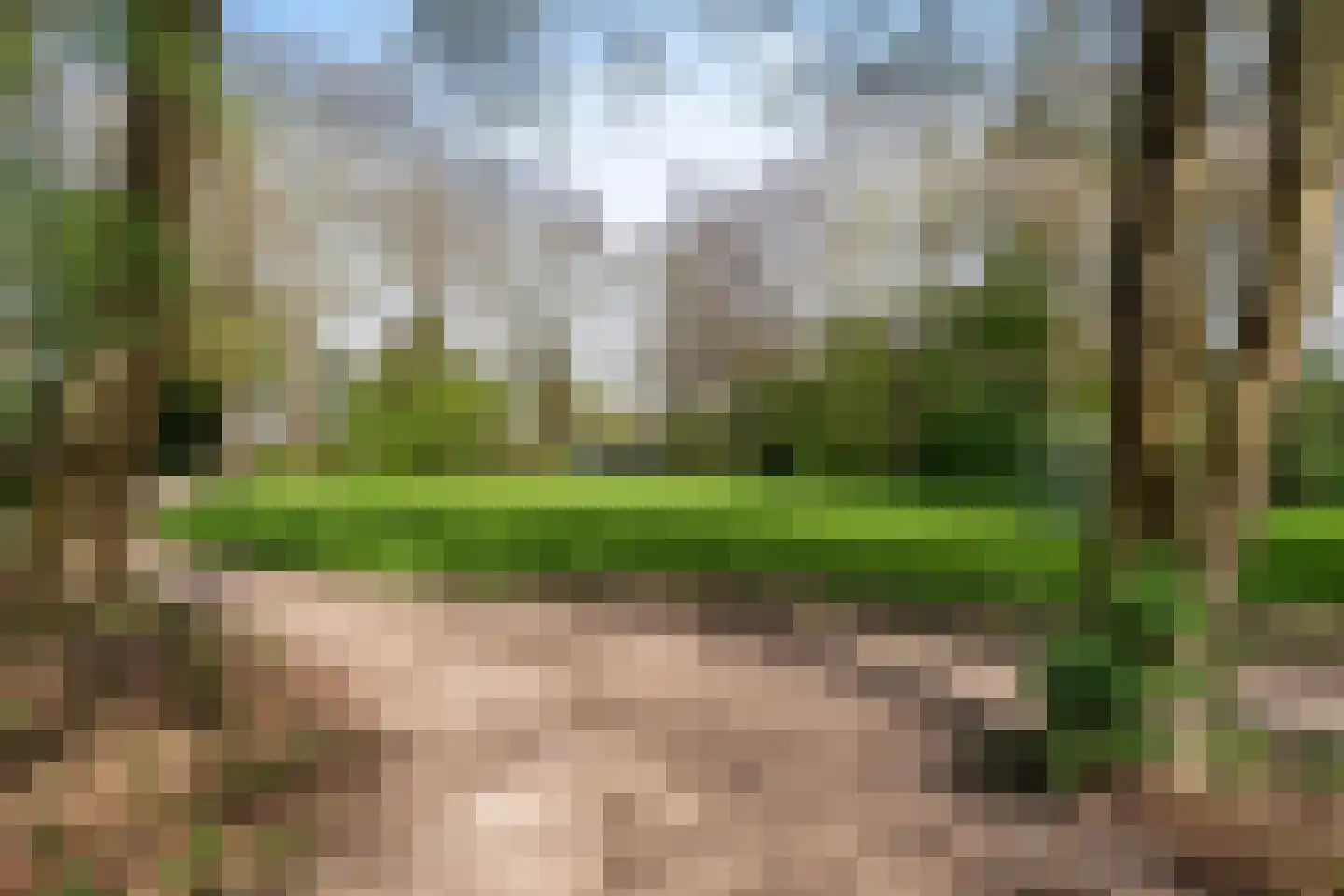 Krommeakker 11 Noord-Scharwoude thumbnail 58