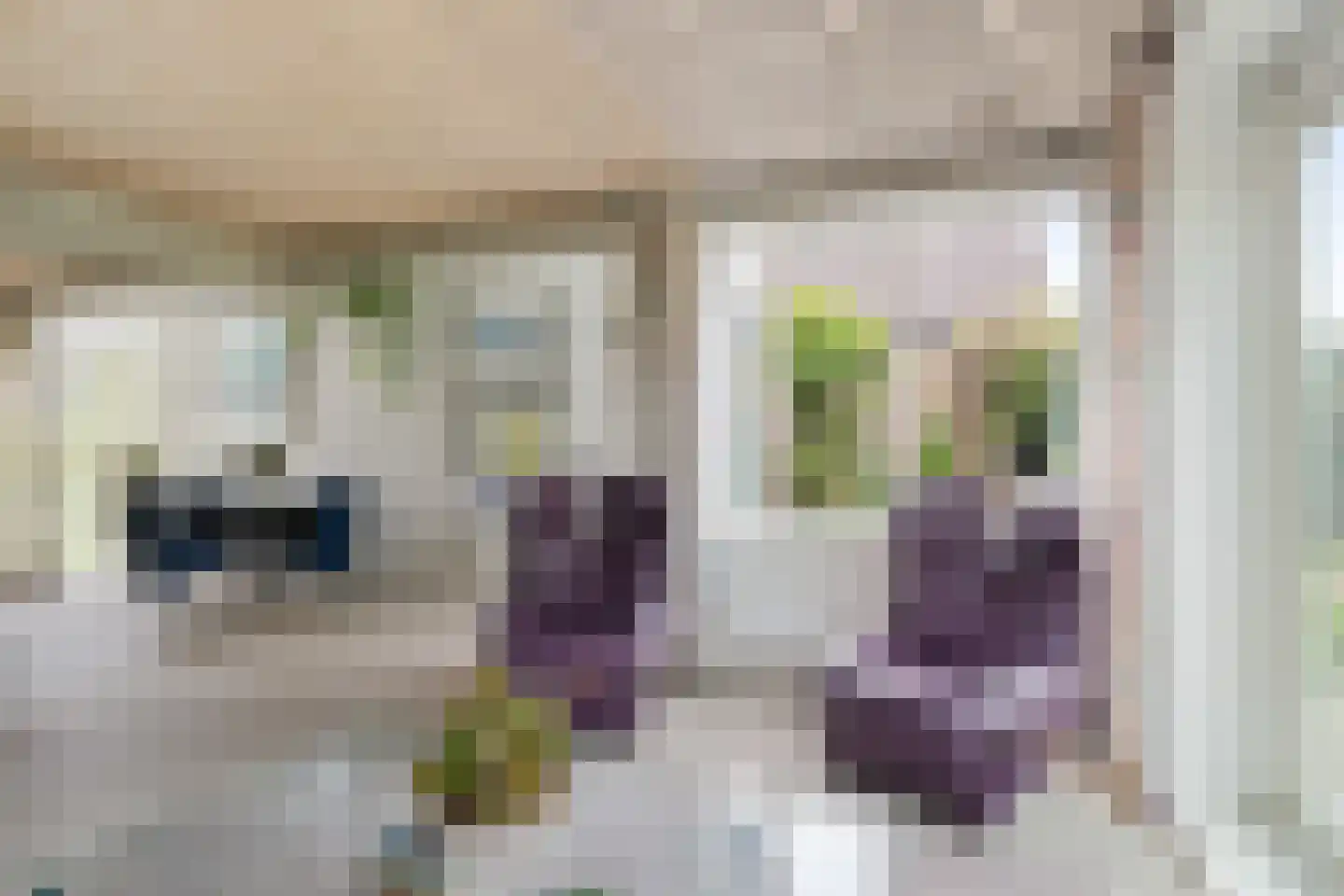 Krommeakker 11 Noord-Scharwoude thumbnail 8