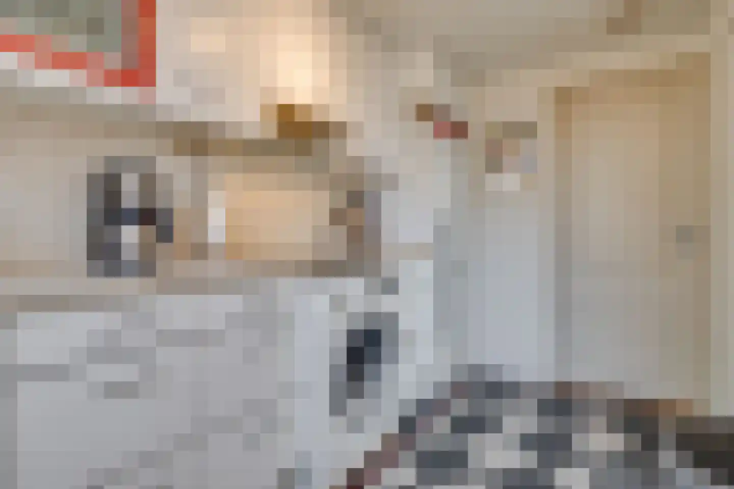 Krommeakker 18 Noord-Scharwoude thumbnail 7