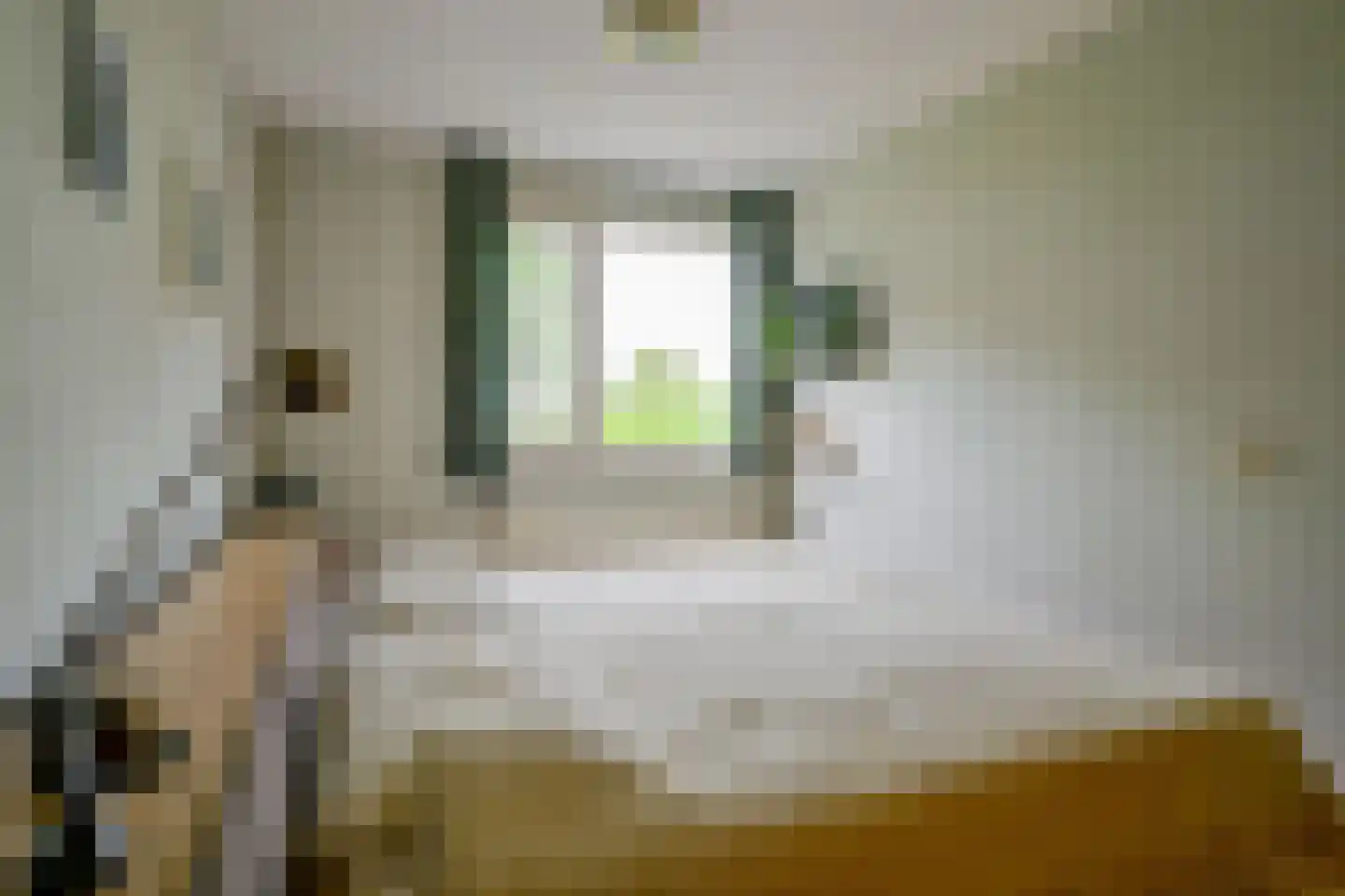 Krommeakker 25 A Noord-Scharwoude thumbnail 20