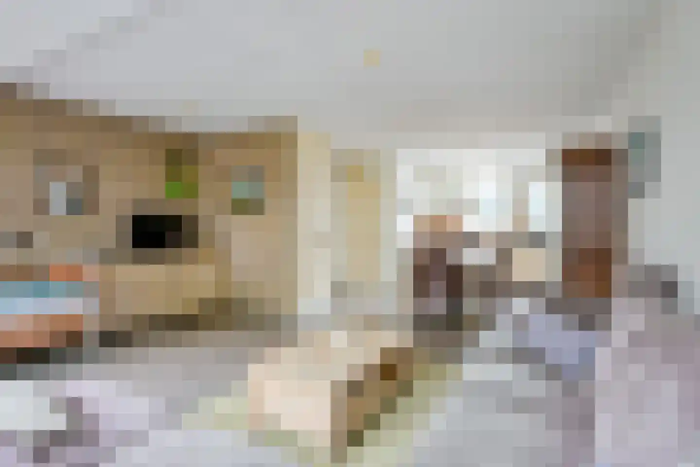 Krommeakker 25 A Noord-Scharwoude thumbnail 9