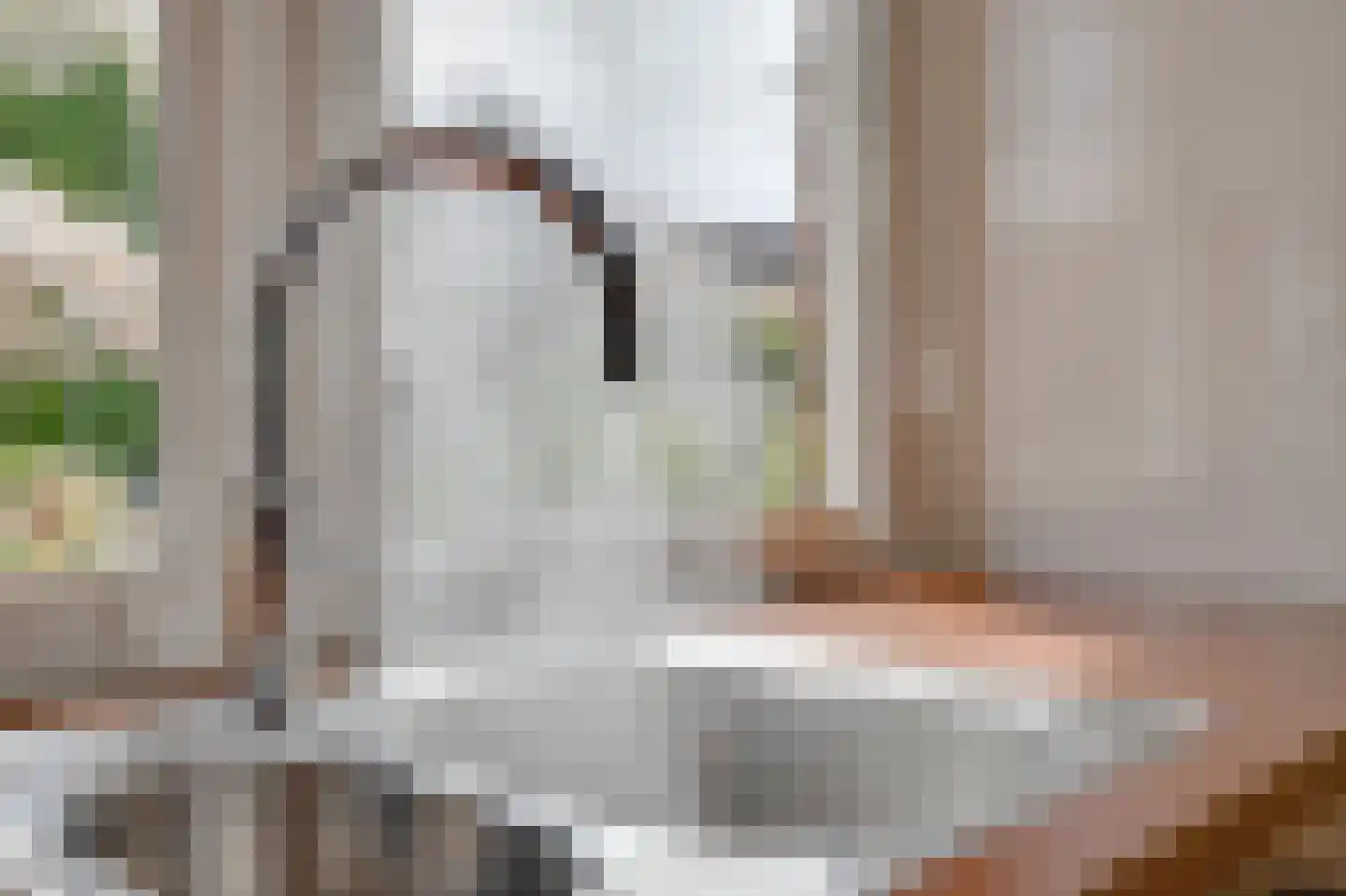 Krommeakker 42 Noord-Scharwoude thumbnail 19