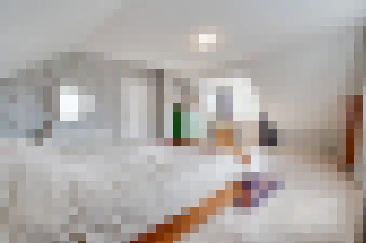 Krommeakker 42 Noord-Scharwoude thumbnail 38