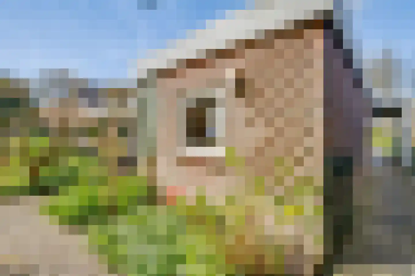 Krommeakker 42 Noord-Scharwoude thumbnail 49