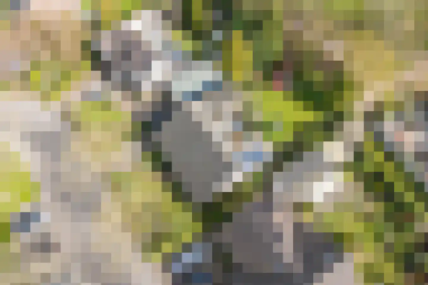 Krommeakker 42 Noord-Scharwoude thumbnail 50