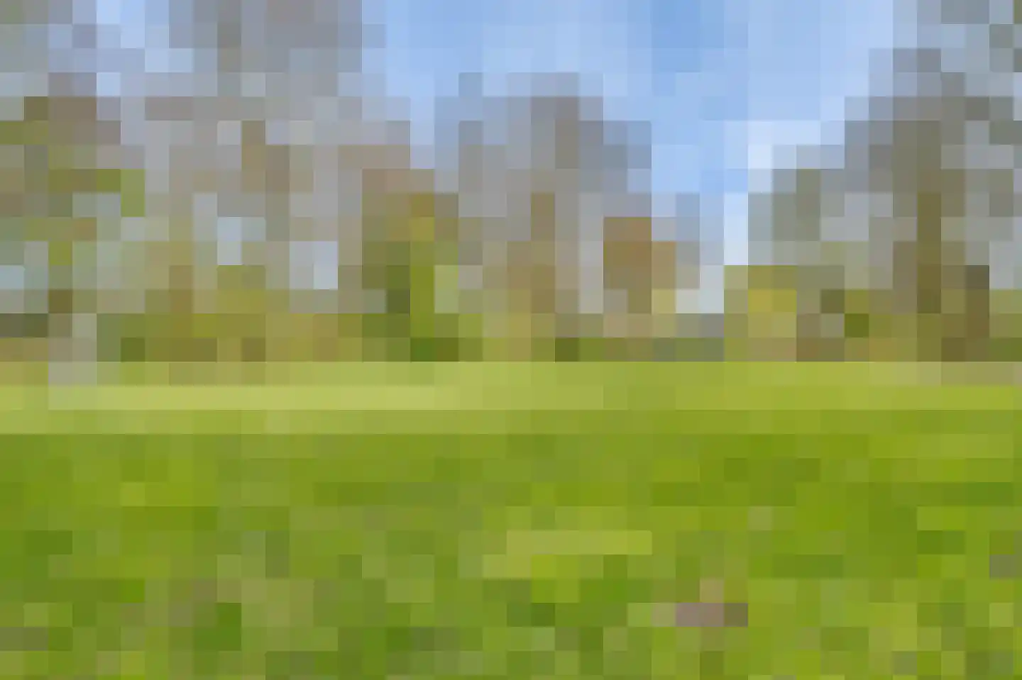 Krommeakker 42 Noord-Scharwoude thumbnail 53