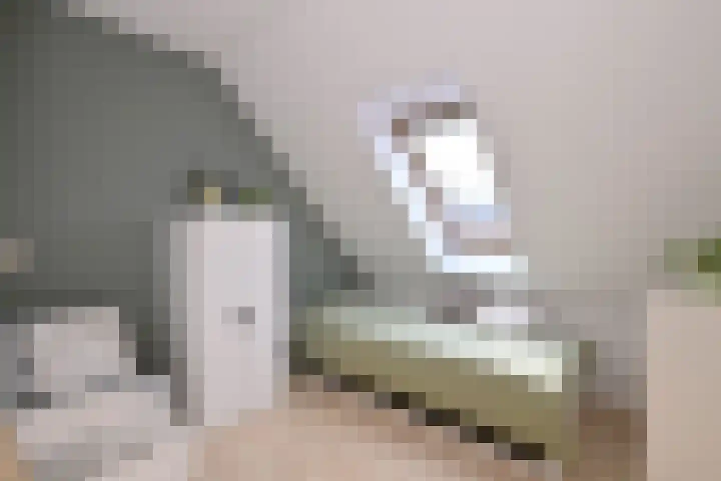 Krommeakker 9 Deventer thumbnail 16