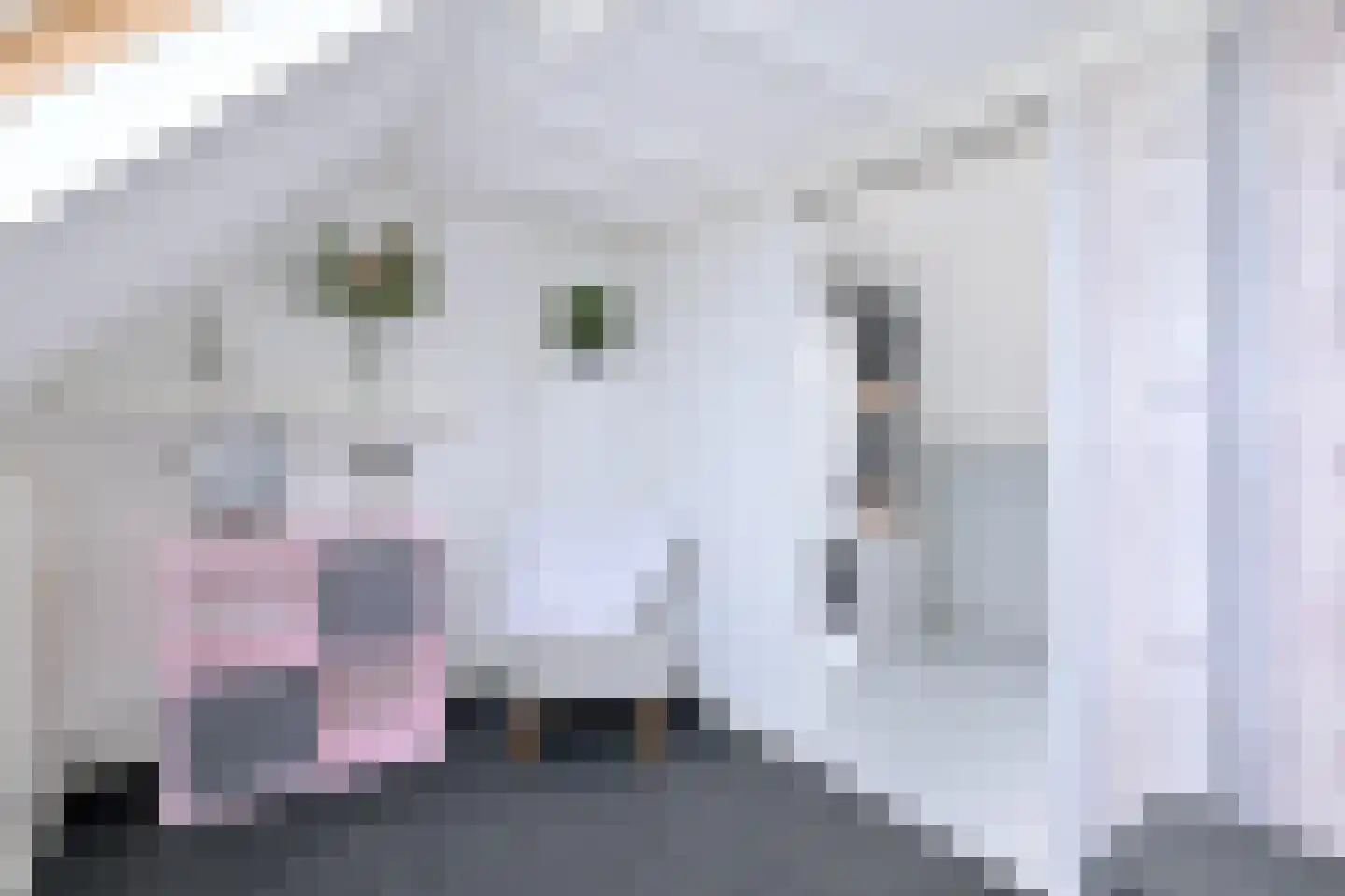 Krommeakker 9 Deventer thumbnail 26