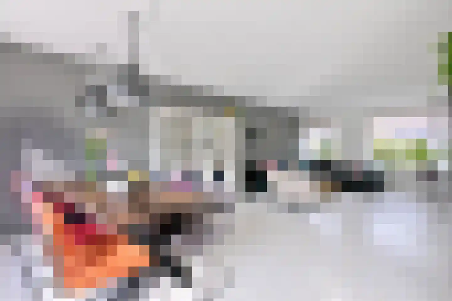Krommeakker 9 Deventer thumbnail 5