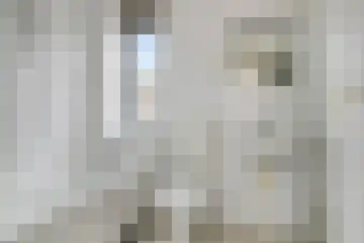 Krommebeemd 10 Oosterhout thumbnail 20