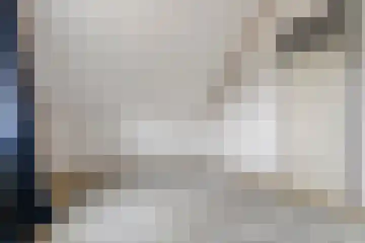 Krommebeemd 10 Oosterhout thumbnail 26