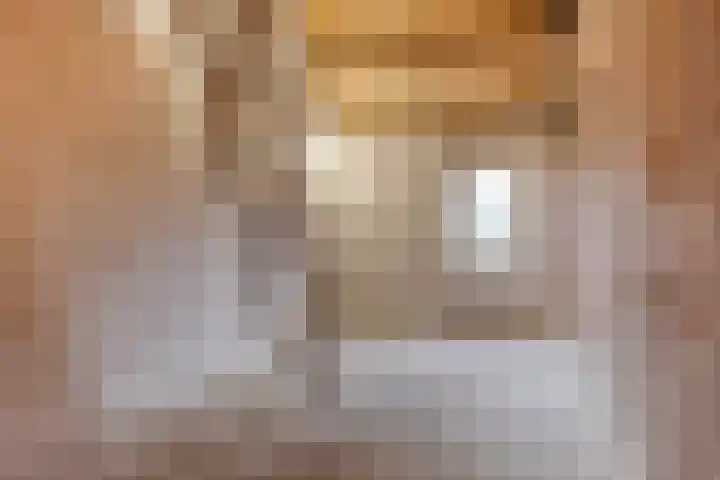 Krommebeemd 10 Oosterhout thumbnail 29