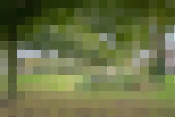 Krommebeemd 10 Oosterhout thumbnail 33