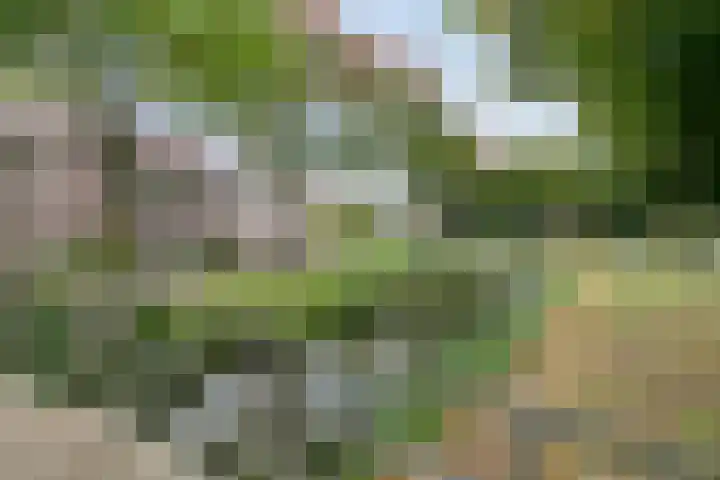 Krommebeemd 10 Oosterhout thumbnail 34