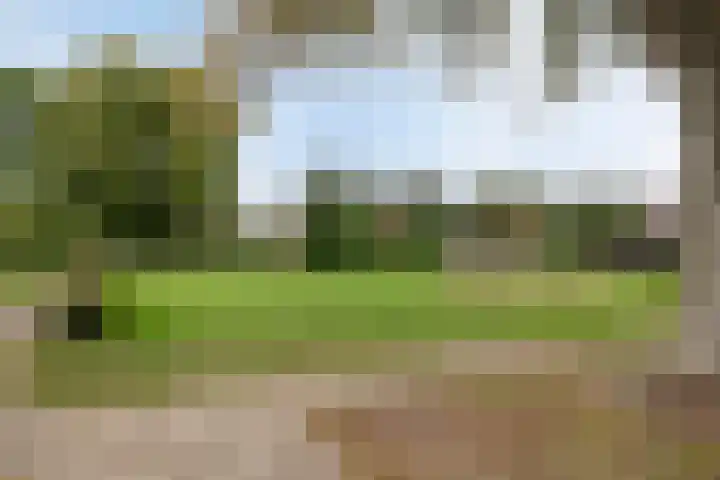 Krommebeemd 10 Oosterhout thumbnail 35