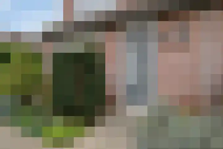 Krommebeemd 10 Oosterhout thumbnail 4