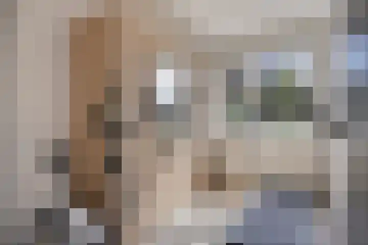 Krommebeemd 27 Oosterhout thumbnail 11