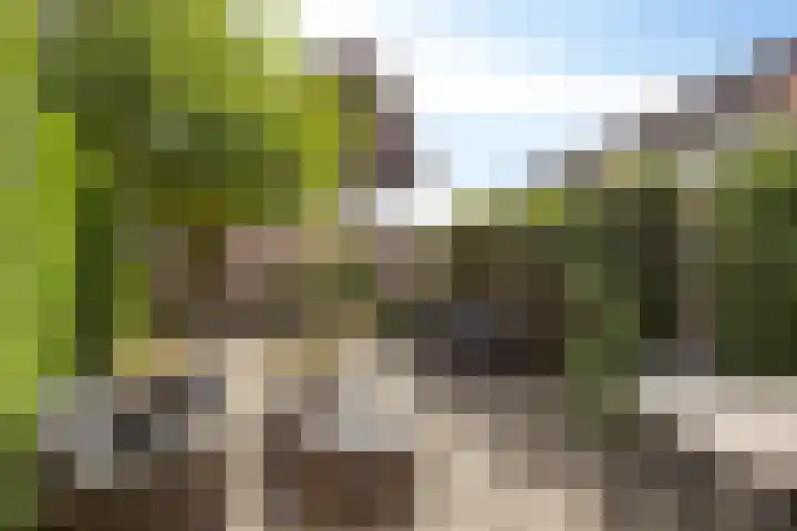 Krommebeemd 27 Oosterhout thumbnail 16