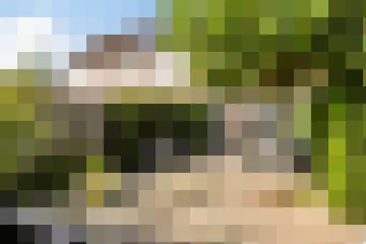 Krommebeemd 27 Oosterhout thumbnail 17