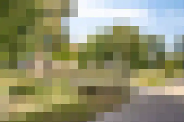 Krommebeemd 27 Oosterhout thumbnail 19