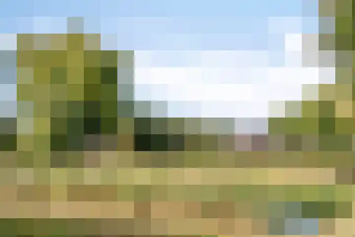 Krommebeemd 27 Oosterhout thumbnail 20