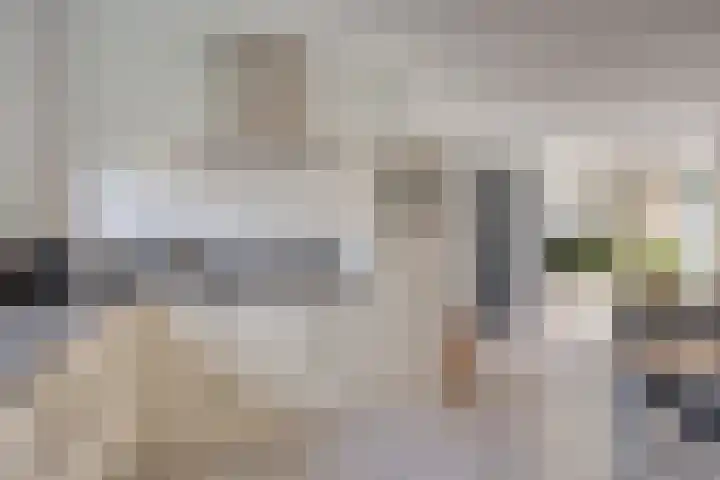 Krommebeemd 27 Oosterhout thumbnail 9