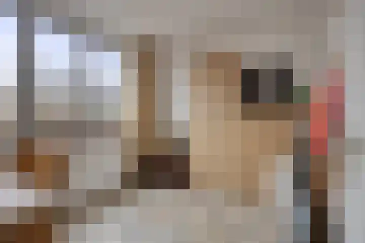 Krommebeemd 29 Oosterhout thumbnail 16