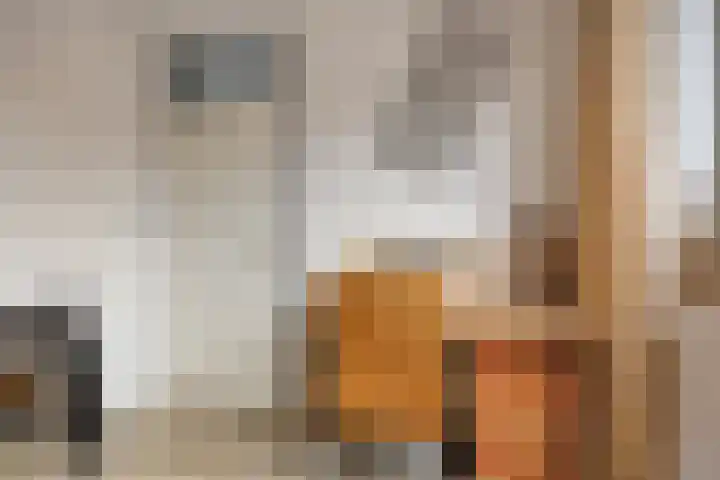 Krommebeemd 29 Oosterhout thumbnail 17