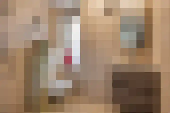 Krommebeemd 29 Oosterhout thumbnail 19