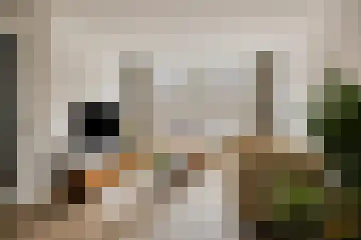 Krommebeemd 29 Oosterhout thumbnail 4
