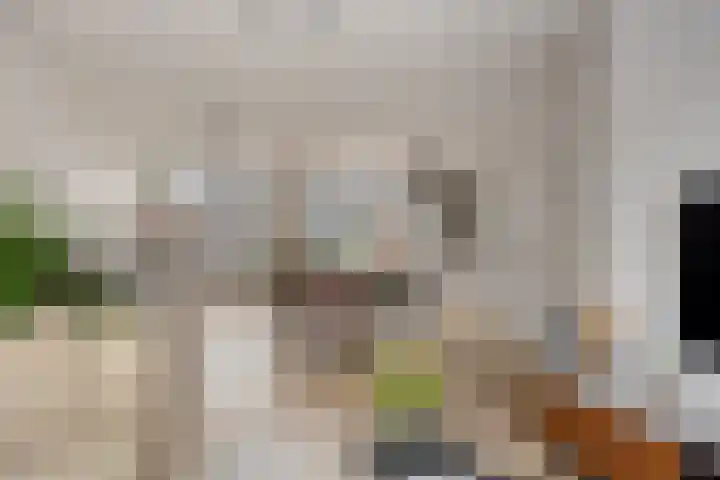 Krommebeemd 29 Oosterhout thumbnail 8