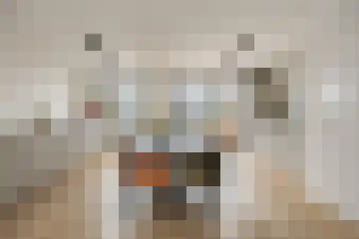 Krommebeemd 29 Oosterhout thumbnail 9
