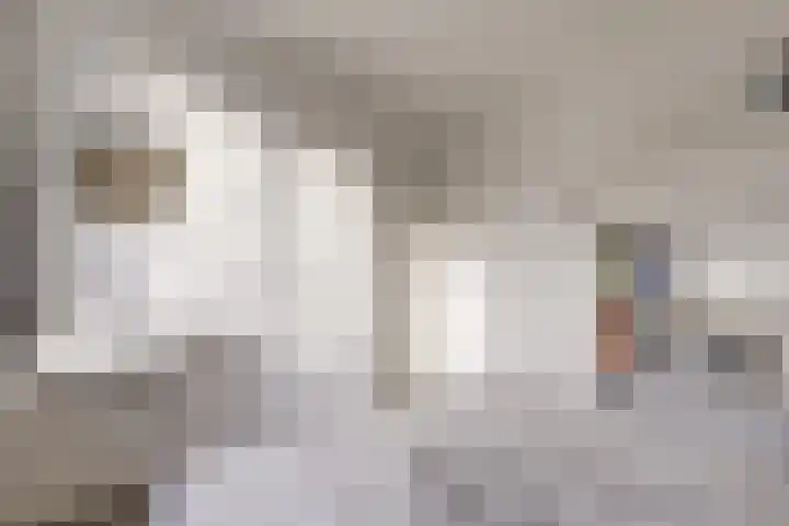 Krommebeemd 55 Oosterhout thumbnail 20