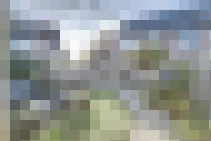 Krommebeemd 55 Oosterhout thumbnail 34