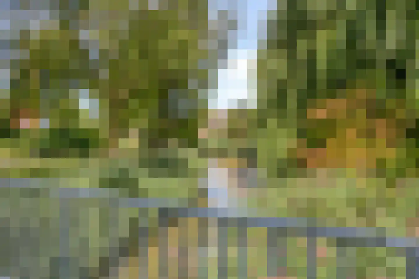 Krommebeemd 61 Oosterhout thumbnail 37